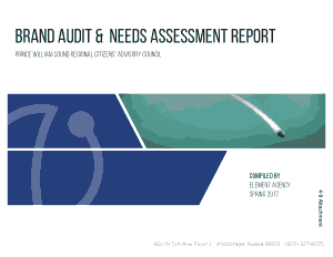 Brand Audit and Needs Assessment Report Template