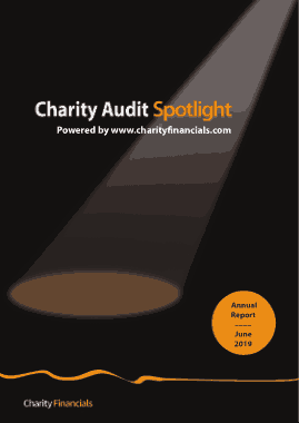 Charity Audit Spotlight Report Template