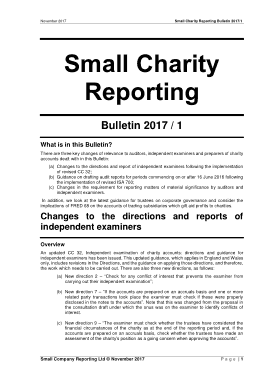 Small Charity Audit Report Template