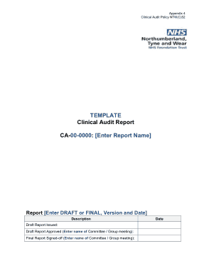 Blank Clinical Audit Report Template