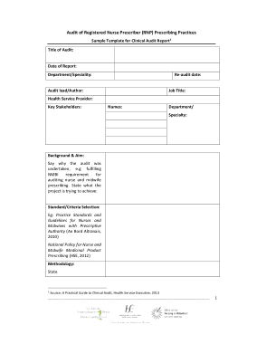 Free Download PDF Books, Clinical Audit Report for Registered Nurse Prescriber Template