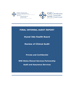 Final Internal Clinical Audit Report Template