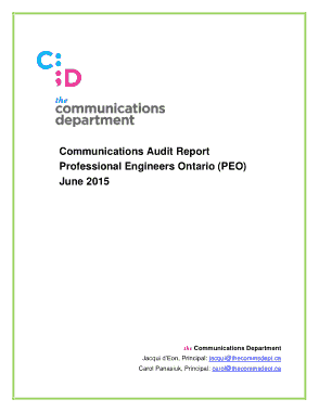 Communications Audit Report of Professional Engineers Template