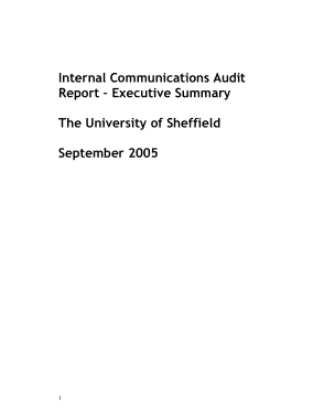 Internal Communications Audit Report Template