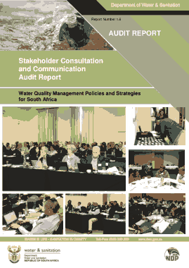 Stakeholder Engagement and Communication Audit Report Template