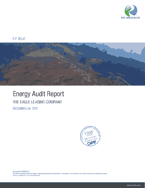 Company Energy Audit Report Template