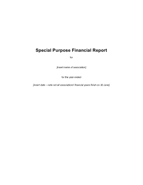 Editable Private Company Audit Report Template