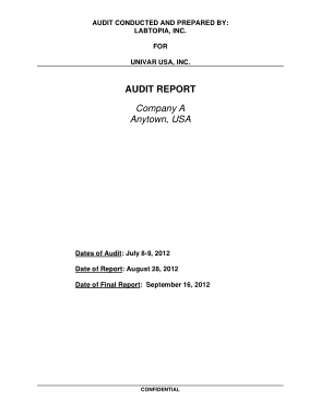 Private Company Audit Report Template