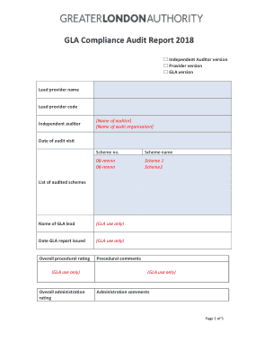 Free Download PDF Books, Editable Compliance Auidt Report Template