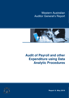 Data Analytics Audit Report Template