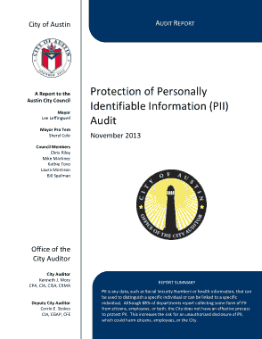 Protection of Personal Data Infrmation Audit Report Template