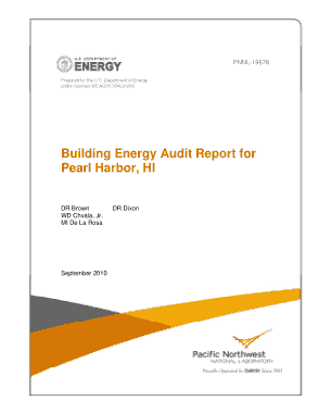 Building Energy Audit Report Template
