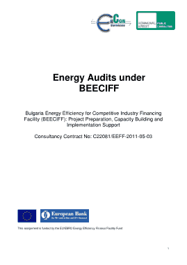 Energy Efficiency Audit Report Template