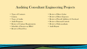 Consultant Engineering Audit Report Template