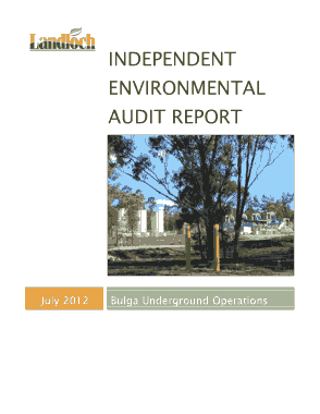 Independent Environmental Audit Report Template