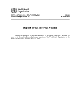 External Audit Agency Report Summary Template