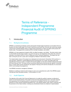 External Audit Terms of Reference Free Template
