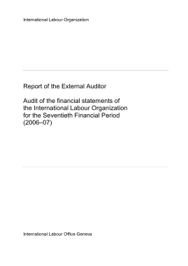 Report of the External Auditor Template