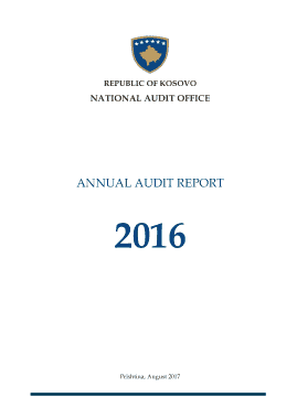 Annual Financial Audit Report Template
