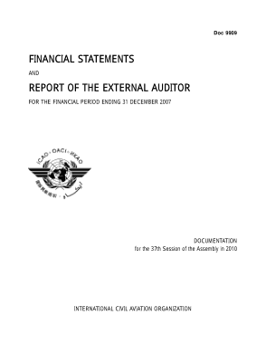 External Financial Audit Report Template