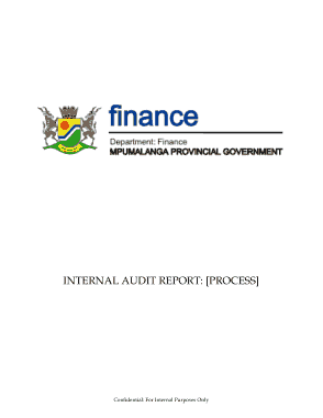 Free Download PDF Books, Finance Internal Audit Report Template