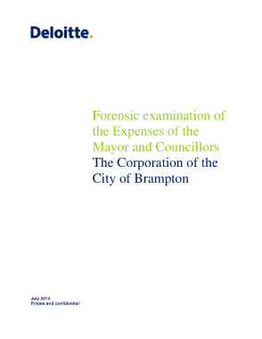 Forensic Audit Report of Government Officials Expenses Template