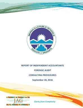 Independent Accounts Forensic Audit Report Template