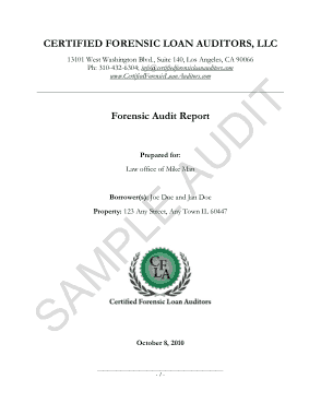 Loan Forensic Audit Report Template