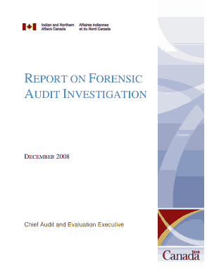 Report on Forensic Audit Investigation Template