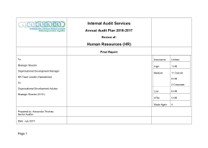HR Annual Audit Report Template