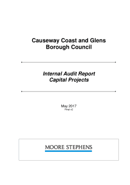 Internal Audit Project Report Template