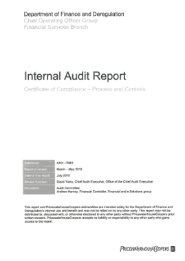 Process and Controls Internal Audit Report Template