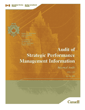 Strategic Performance Management Informatin Internal Audit Report Template