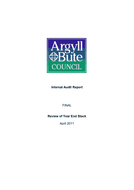Year End Internal Stock Audit Report Template