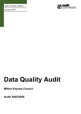 Data Quality Audit Report Template