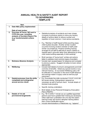 Annual Health and Safety Audit Report Template