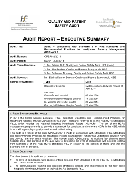 Audit Executive Report Free Template