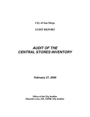 Audit Report of the Central Stores Inventory Template