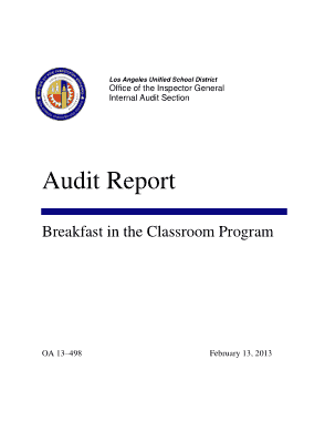 Audit Summary Report Template