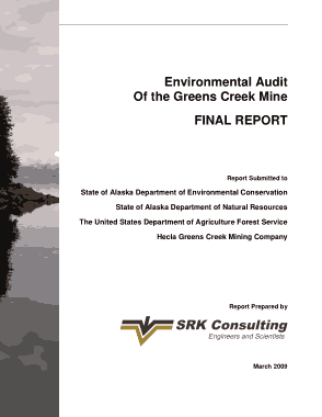 Environement Audit Final Report Template
