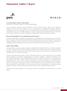 PWC Independent Audit Report Template