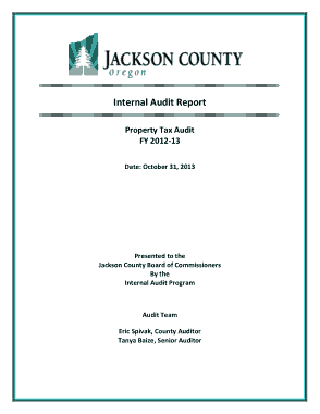 Internal Property Tax Audit Report Template