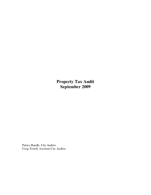 Property Tax Audit Report Template