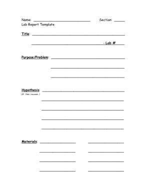Blank Lab Report Template