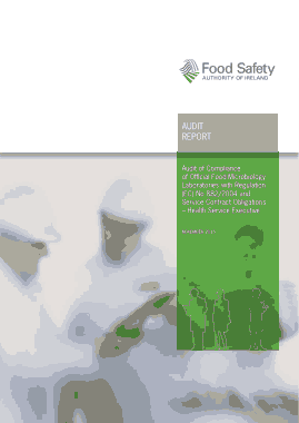 Food Laboratory Audit Report Template