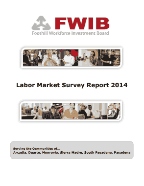 Labor Market Survey Report Template