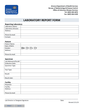 Laboratory Report Form Template