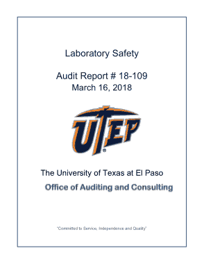 Laboratory Safety Audit Report Template
