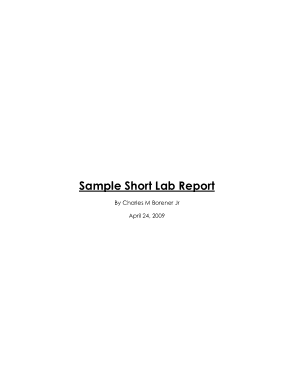 Sample Short Lab Report Template