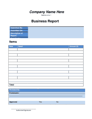 Basic Business Report Template
